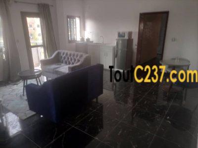 Grand studio moderne meublé à Louer