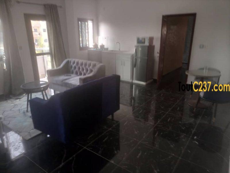 Grand studio moderne meublé à Louer