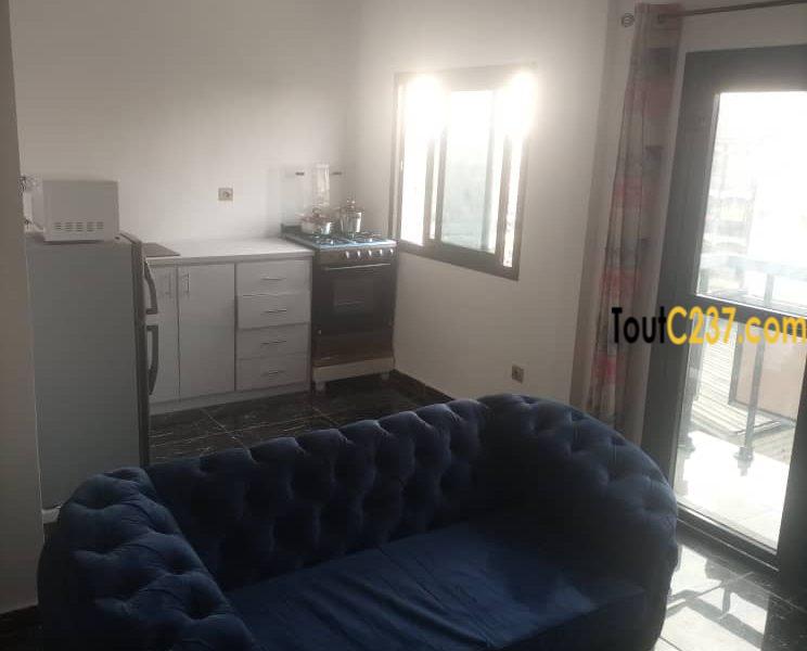 Grand studio moderne meublé à Louer