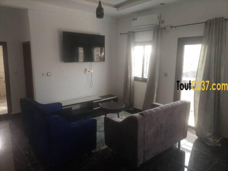 Grand studio moderne meublé à Louer