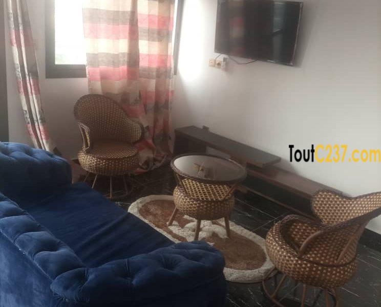 Grand studio moderne meublé à Louer