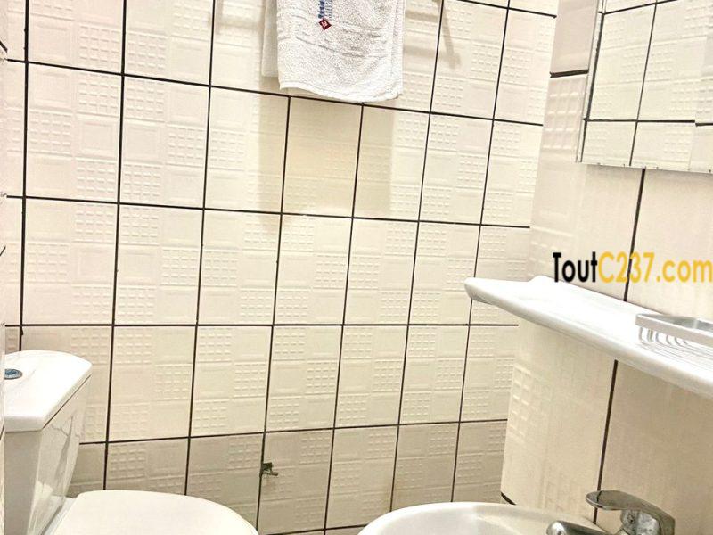 Appartement meublé à louer Douala