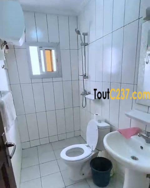 Appartement meublé à louer a Bonamoussadi
