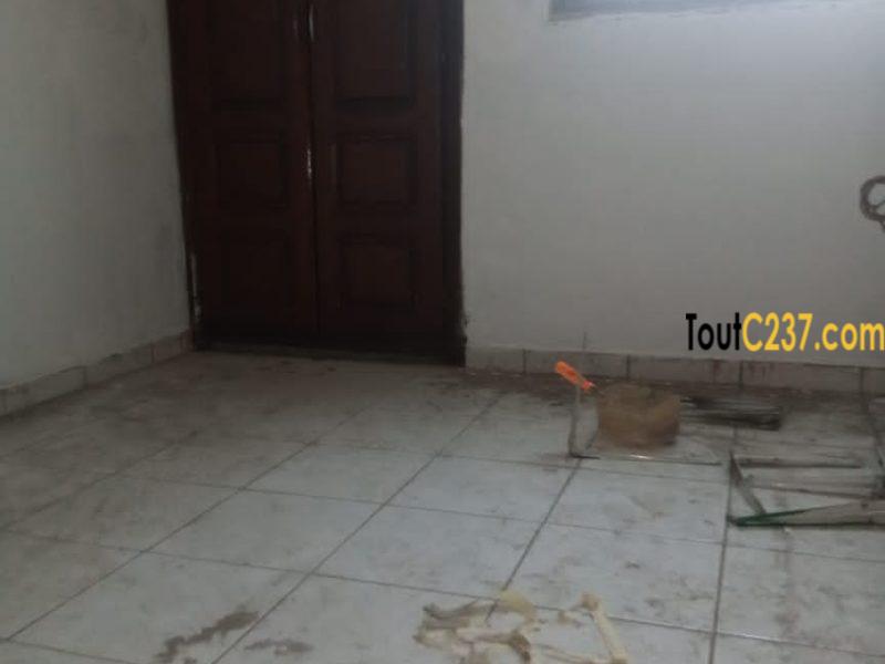 Appartement idéal pour bureau à Louer