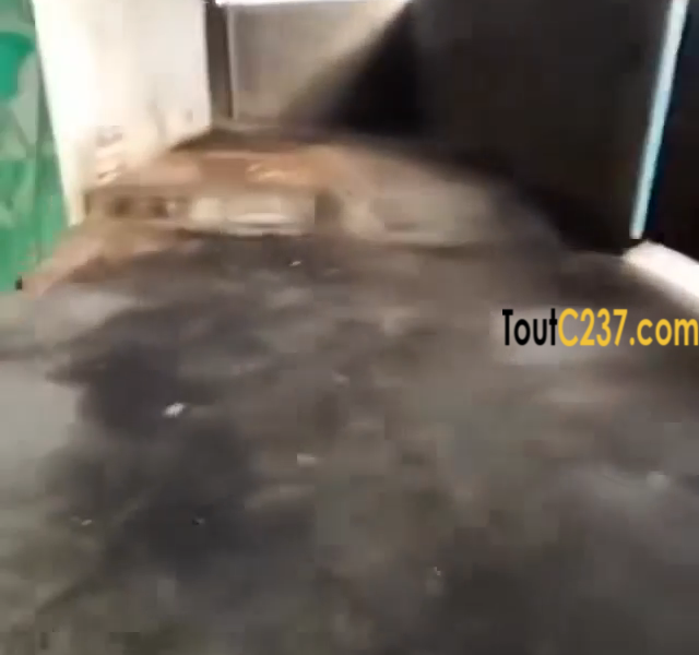 Entrepôt avec bureaux à louer a Bali