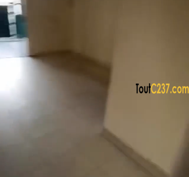 Entrepôt avec bureaux à louer a Bali