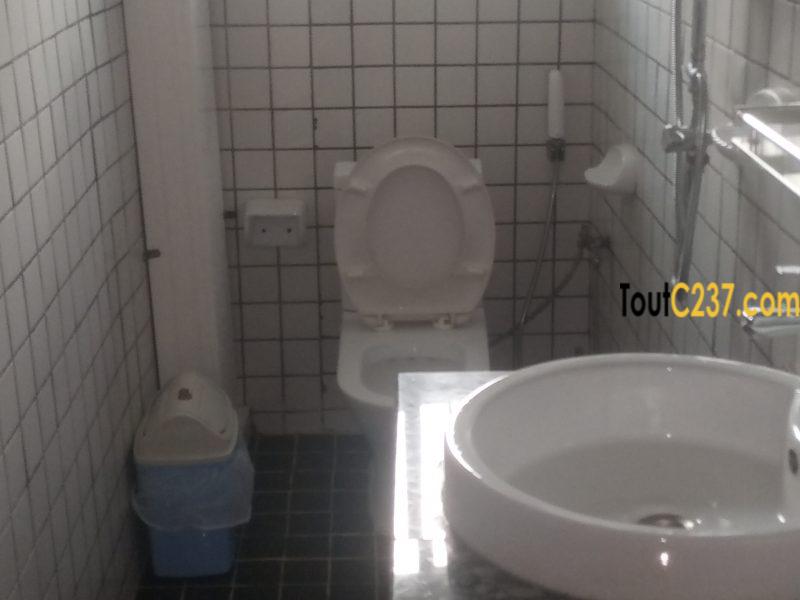 Appartement meublé à louer à Bonamoussadi