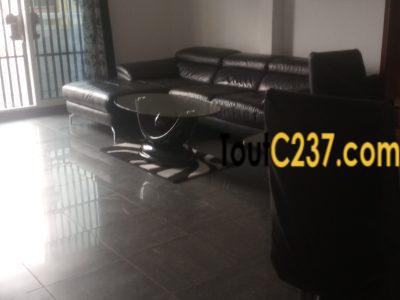 Appartement meublé à louer à Bonamoussadi