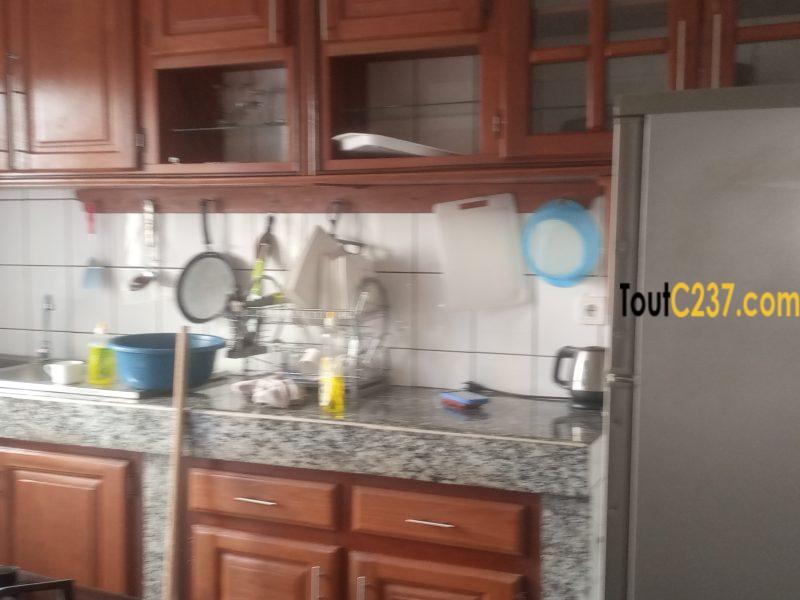 Appartement meublé à louer à Bonamoussadi