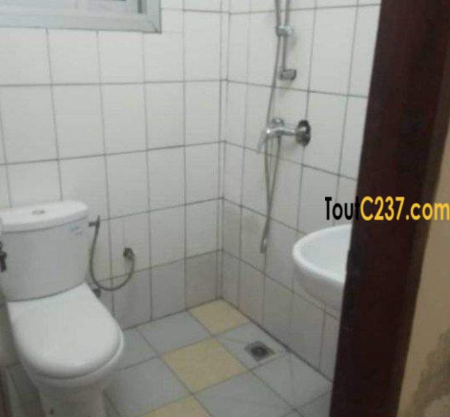 Appartement de 3 chambres à louer