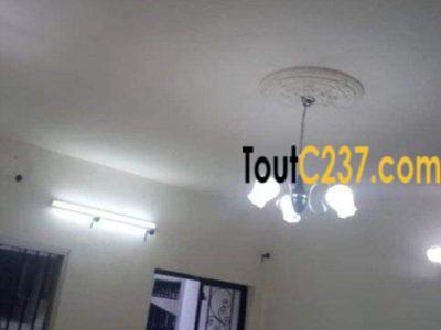 Appartement de 3 chambres à louer