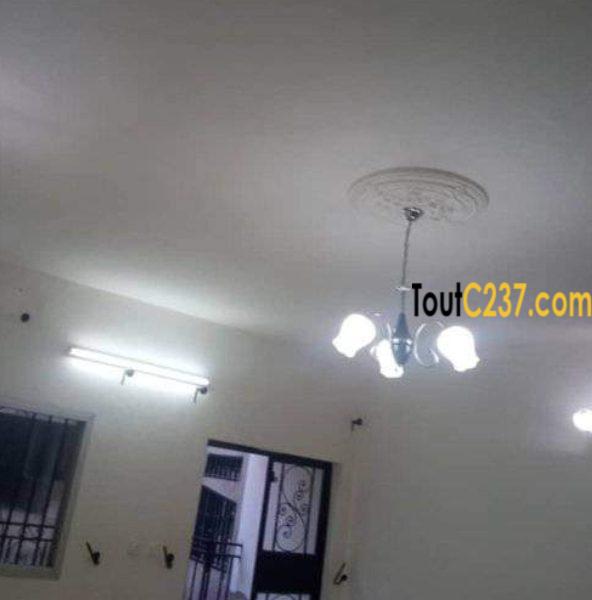 Appartement de 3 chambres à louer