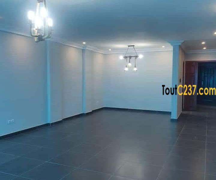 Appartement de 3 chambres à louer