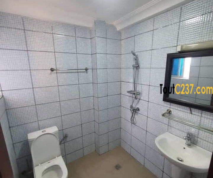 Appartement de 3 chambres à louer