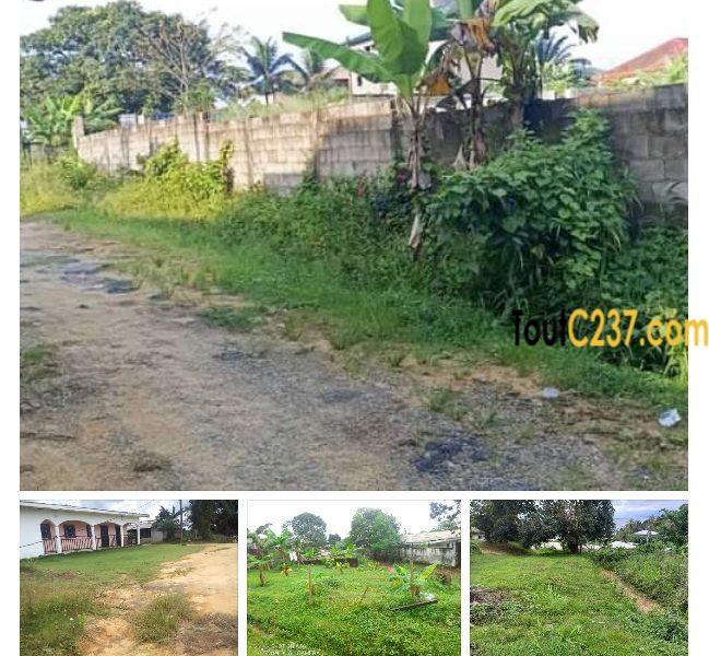 Terrain a vendre à Beedi Hôpital général