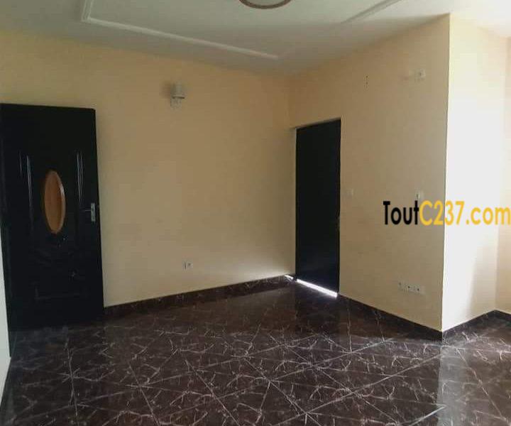 Studio moderne à Bonamoussadi Douala