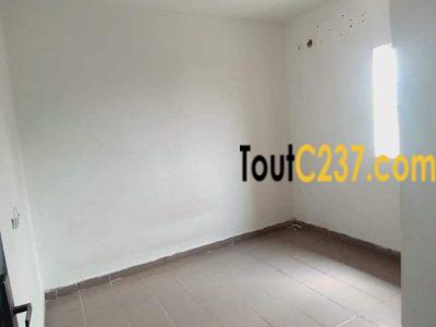 Studio moderne à Bonamoussadi Douala