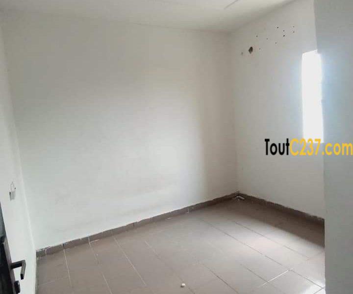 Studio moderne à Bonamoussadi Douala