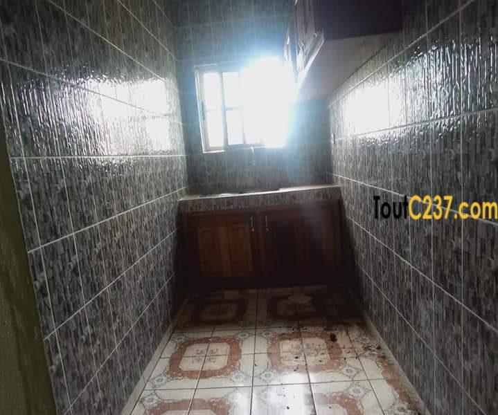 Studio moderne à Bonamoussadi Douala