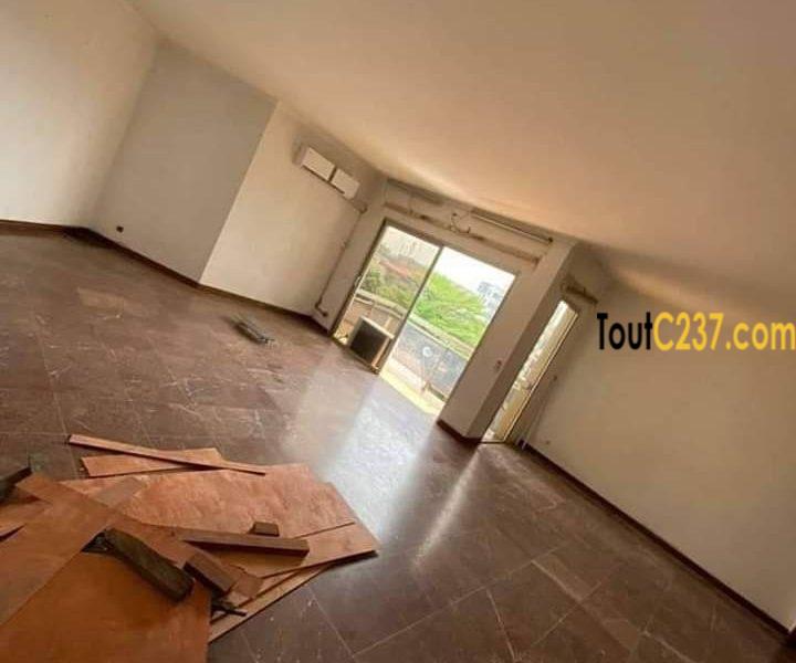 Appartement de 3 chambres à louer à Bonanjo