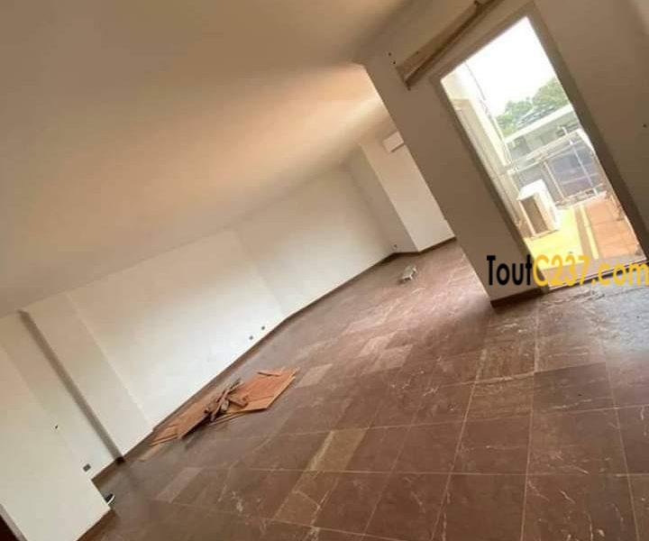 Appartement de 3 chambres à louer à Bonanjo