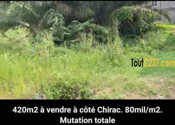 Terrains a vendre à Yassa cité chirac, Douala