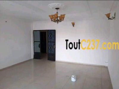 Appartement à louer à Akwa Douala