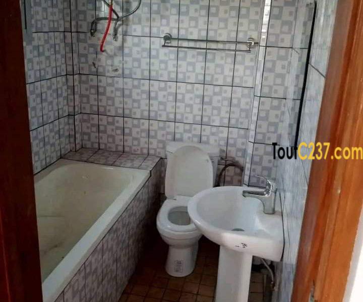 Appartement à louer à Akwa Douala