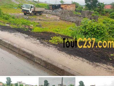 Terrain à vendre Yassa Nkolbong