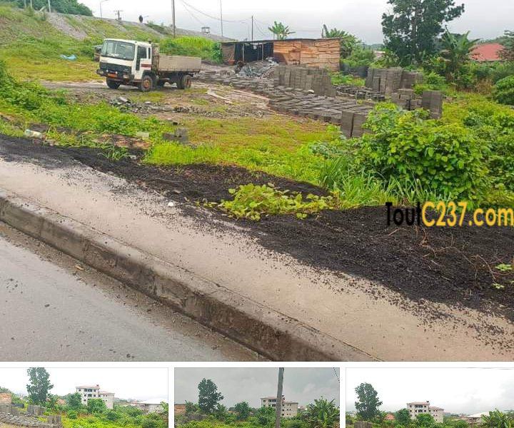 Terrain à vendre Yassa Nkolbong