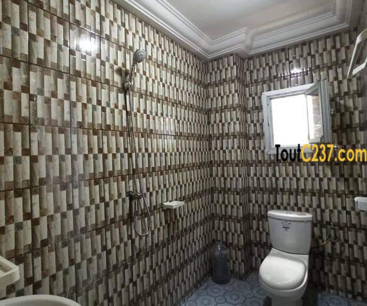 Appartement neuf à louer à Logpom