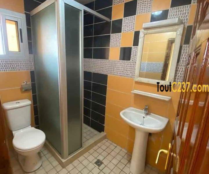 Appartement neuf à louer a Akwa Douala