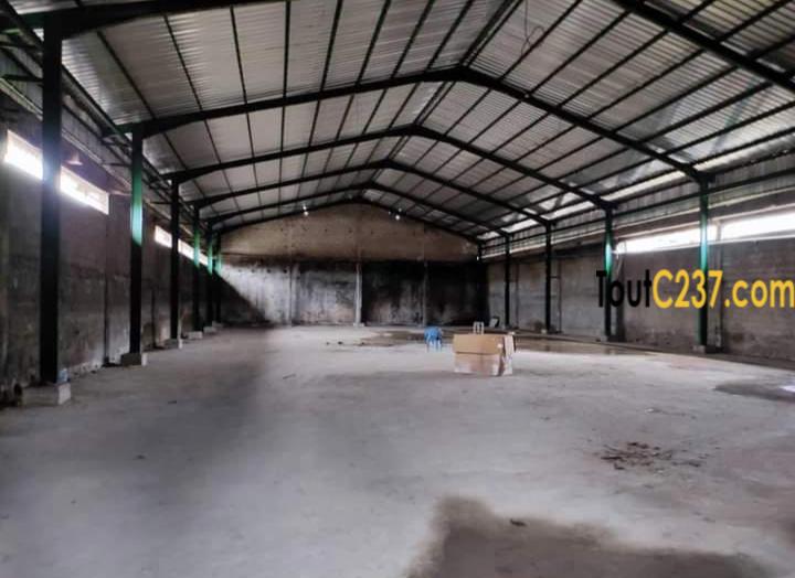Entrepôt à louer à Bonaberi, Douala