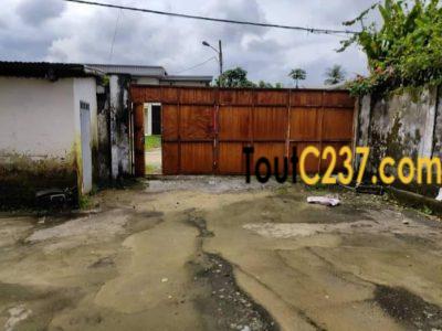 Entrepôt à louer à Bonaberi, Douala