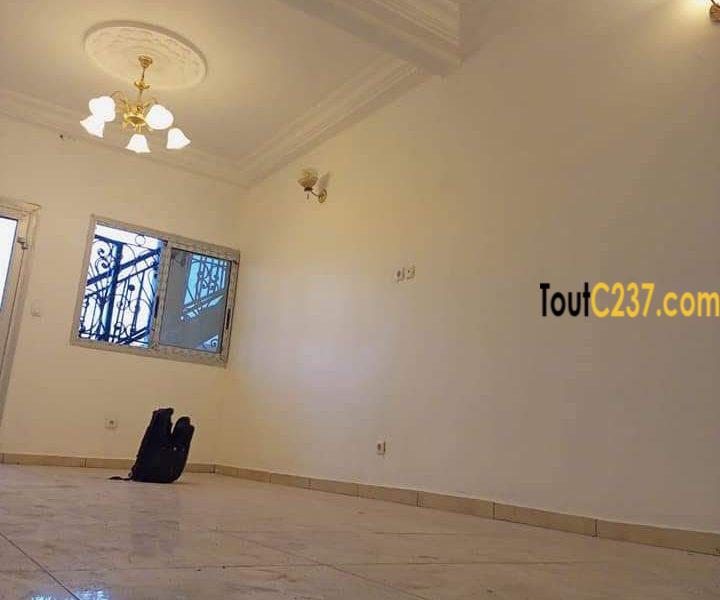 Appartement a louer à Bonamoussadi
