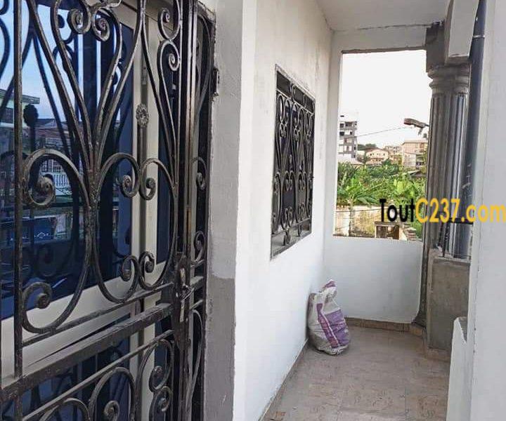 Appartement a louer à Bonamoussadi