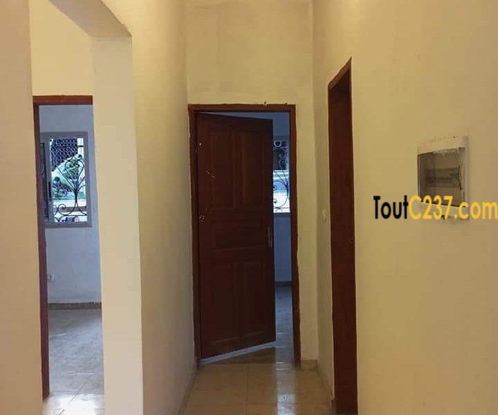 Appartement a louer à Bonamoussadi