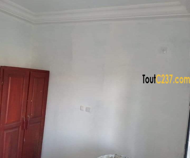 Appartement a louer à Bonamoussadi