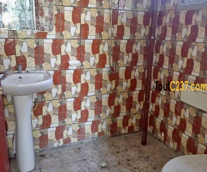 Appartement a louer à Bonamoussadi