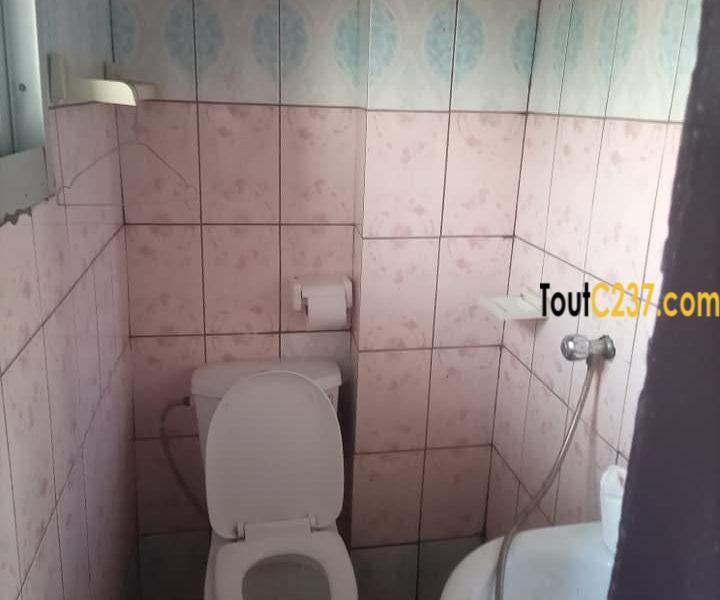 Appartement à louer à Bonamoussadi