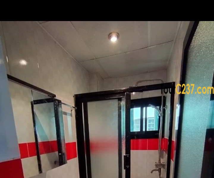 Studios neufs à louer à Bonamoussadi