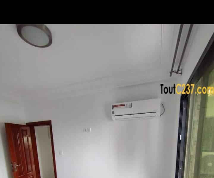Studios neufs à louer à Bonamoussadi