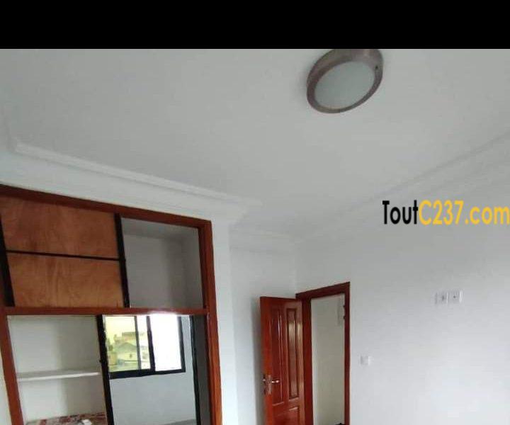 Studios neufs à louer à Bonamoussadi