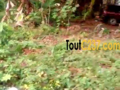 Terrain à vendre à Logbessou Antenne