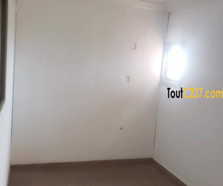 Plusieurs bureaux à louer à Bonamoussadi