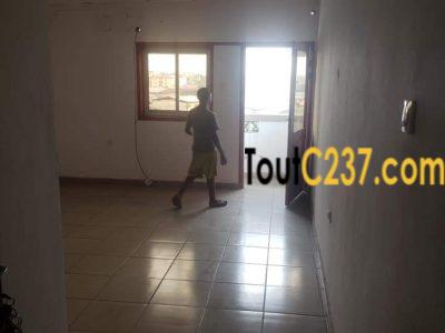 Plusieurs bureaux à louer à Bonamoussadi