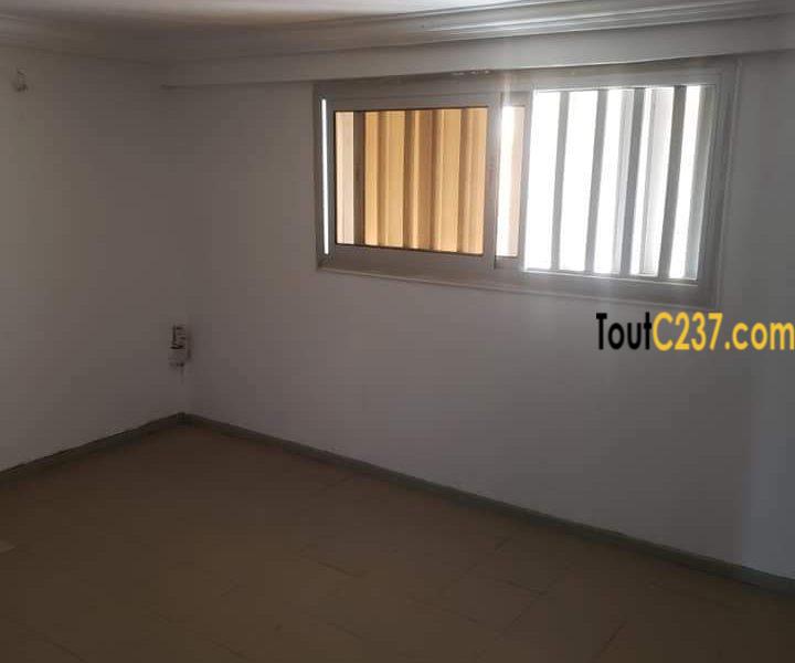 Plusieurs bureaux à louer à Bonamoussadi