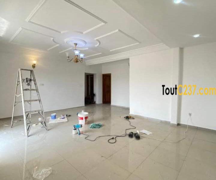 Appartement à louer a Logpom Douala