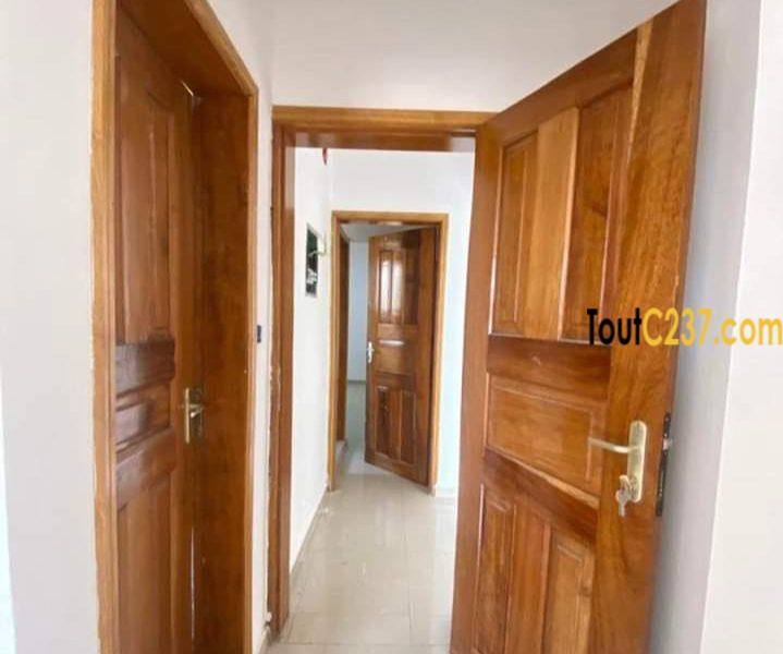 Appartement à louer a Logpom Douala