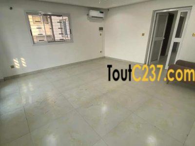 Appartement en duplex à louer à Bonapriso